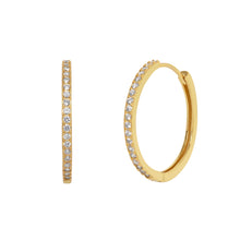 Load image into Gallery viewer, Bailey Hoop Earrings in Gold
