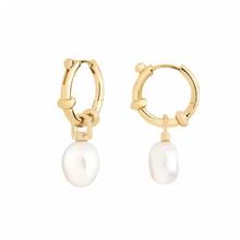 Load image into Gallery viewer, Hazel Hoop Earrings in Gold
