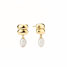 Load image into Gallery viewer, Regina Stud Earrings in Gold
